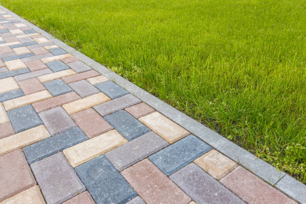 Best Professional Driveway Pavers  in Westville, IN